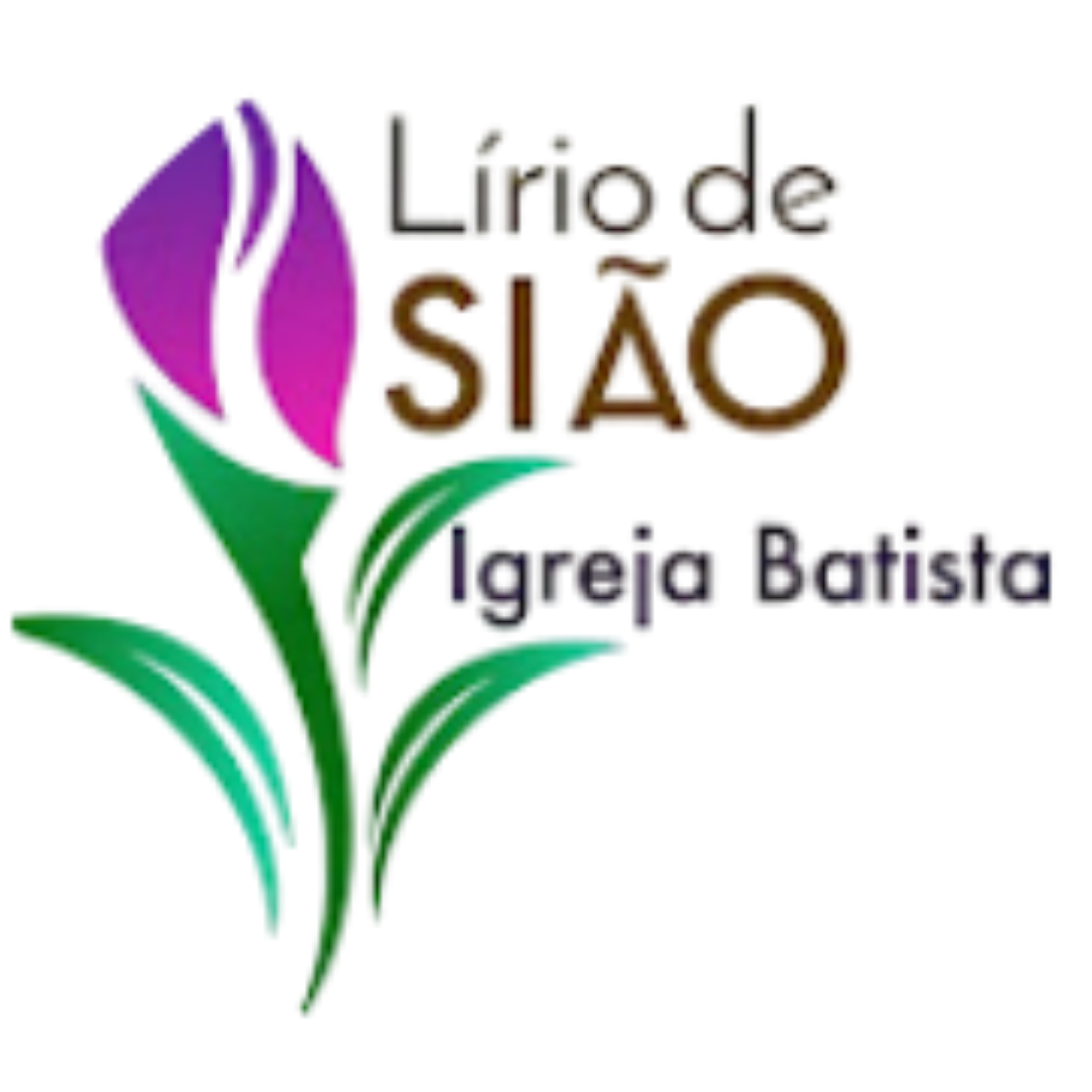 Igreja Batista Lírio de Sião